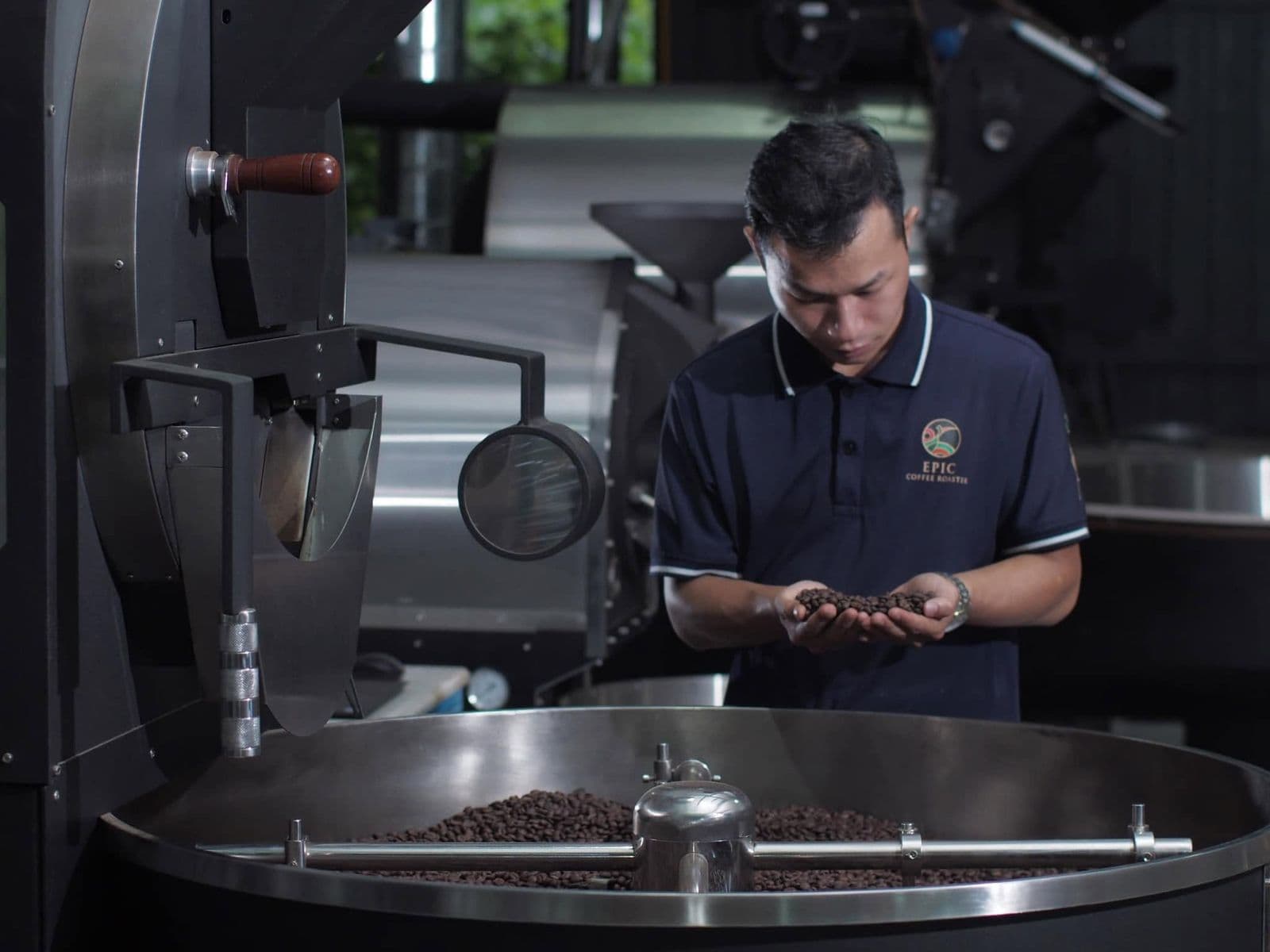 Roaster inspecting a handful of freshly roasted beans