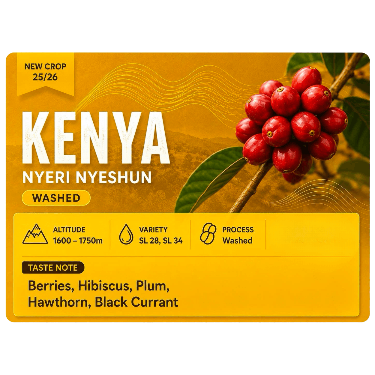 Kenya — Nyeri Nyeshun
